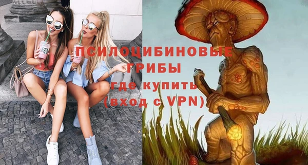 крисы Абаза