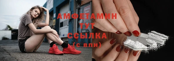 крисы Абаза