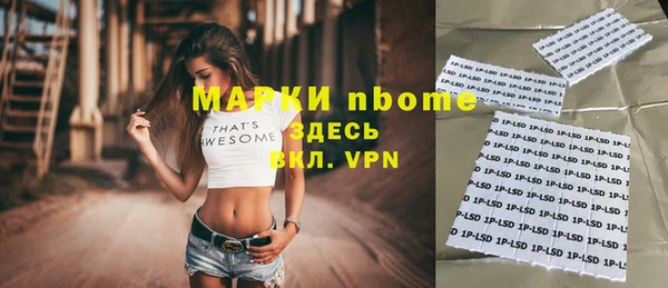 крисы Абаза