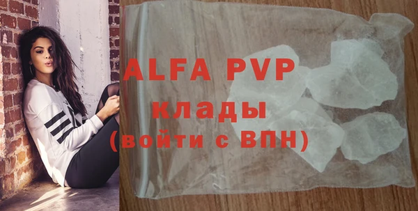 крисы Абаза