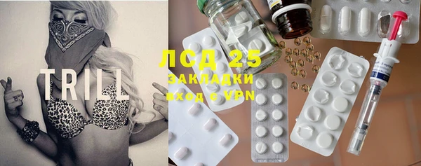 крисы Абаза