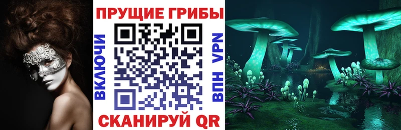 Галлюциногенные грибы MAGIC MUSHROOMS Весьегонск